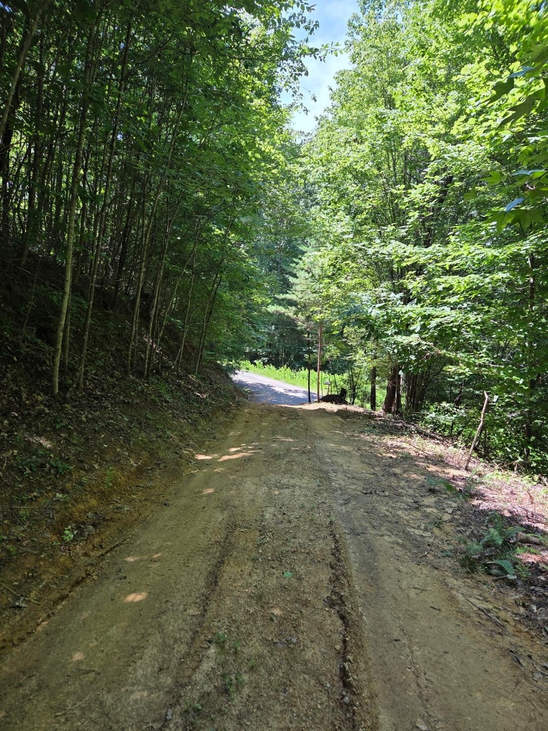 126 County Road 179