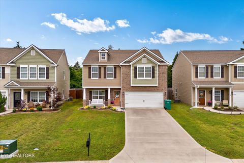 1242 Bill Wallace Drive Friendsville TN 37737