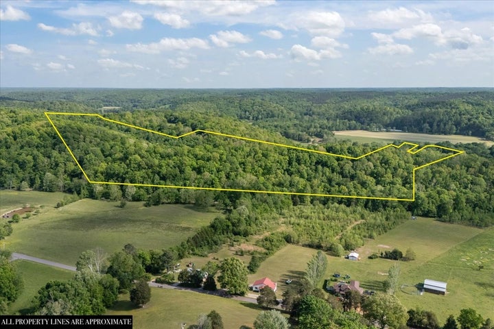 Photo 1 of 93 — 6130 Clydeton Rd, Waverly, TN 37185