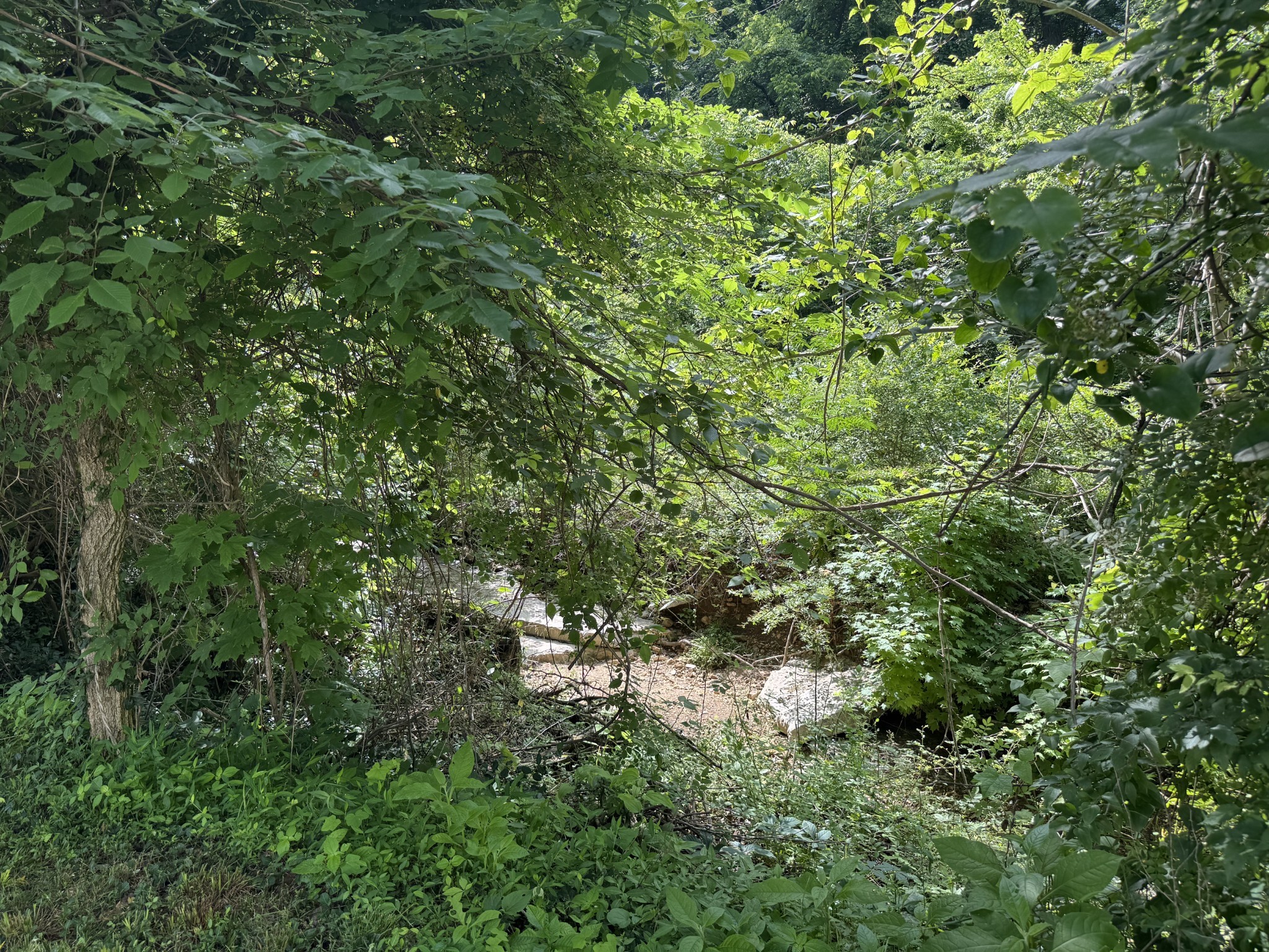 Middle Tennessee Properties 4 5092 Seymour Hollow Rd