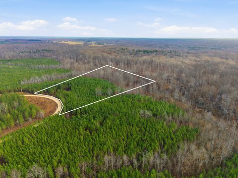 0 Cox Hollow Rd Dover TN 37058