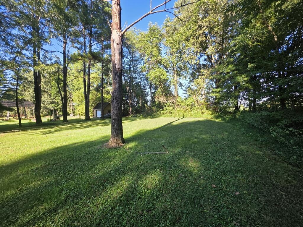 385 Clifty Village Ln