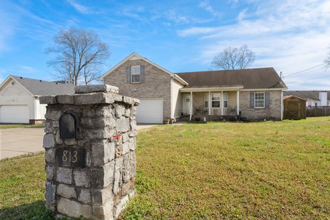 813 Chaney Woods Dr, La Vergne, TN 37086 - MLS#: 2807935