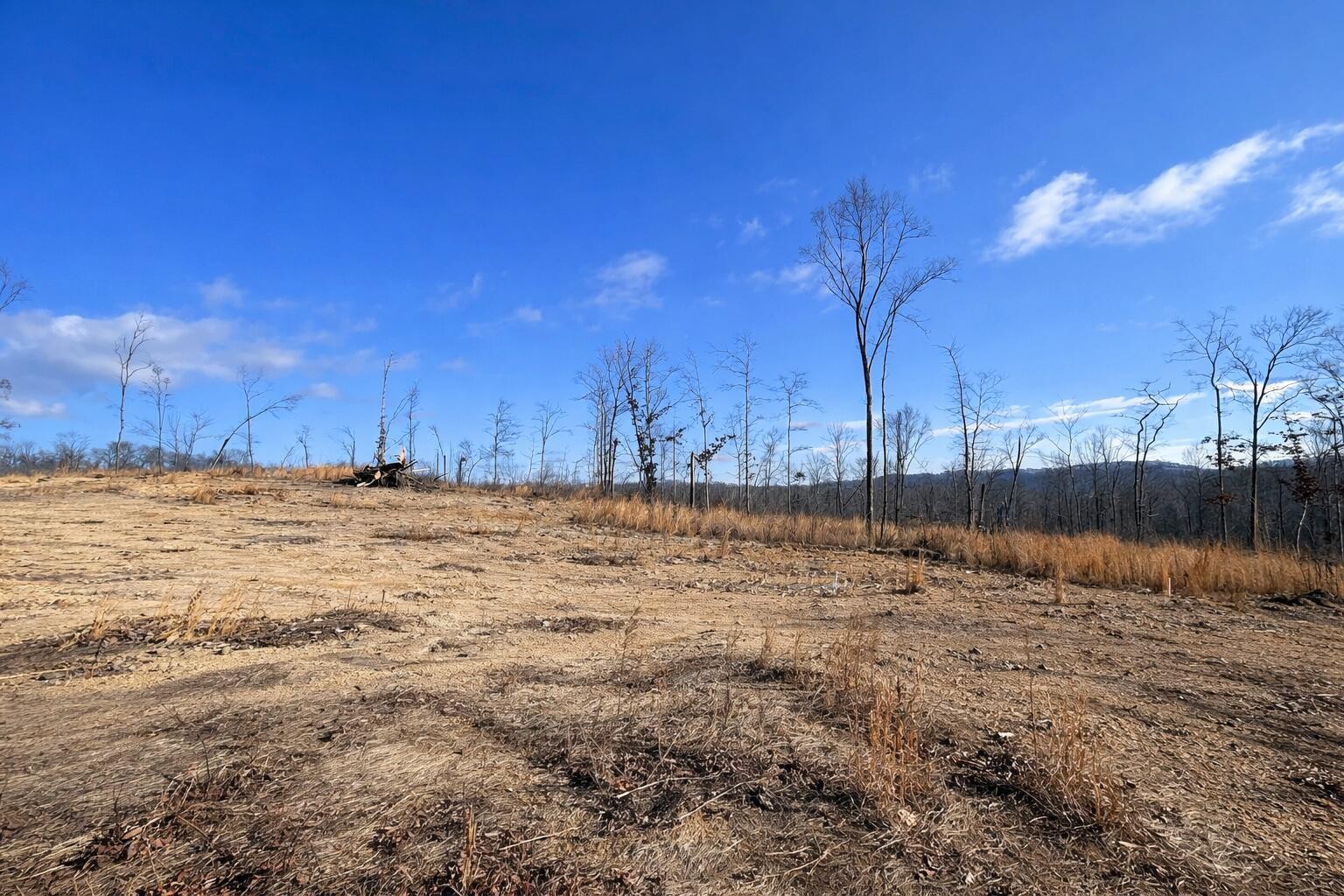 Photo 1 of 13 — 2734 River Road, Decatur, TN 37322
