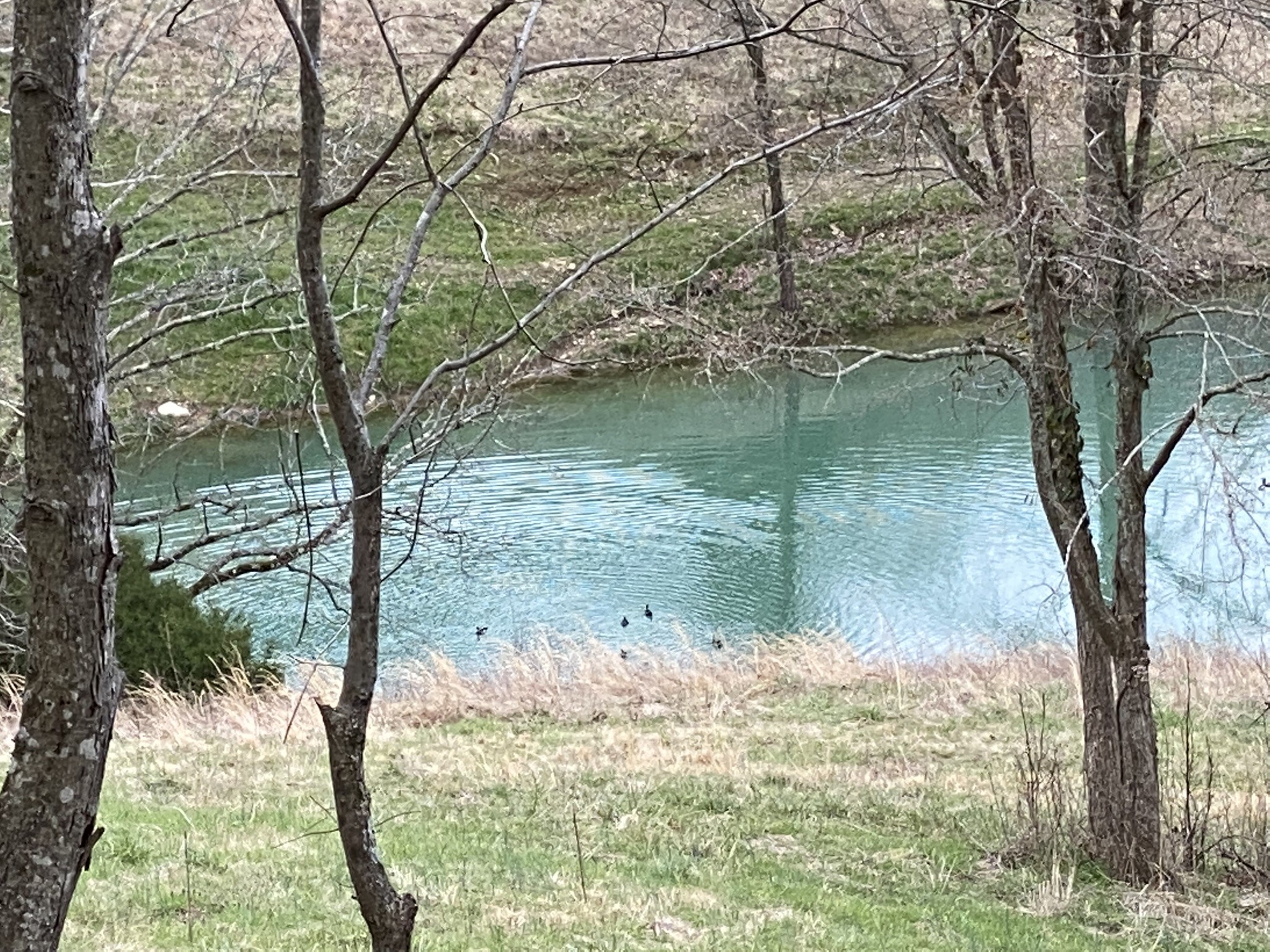 0 Hurricane Creek Rd