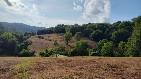 0 Hurricane Creek Rd Woodbury TN 37190