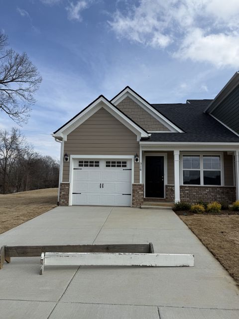 316 Selesia Lane Pleasant View TN 37146