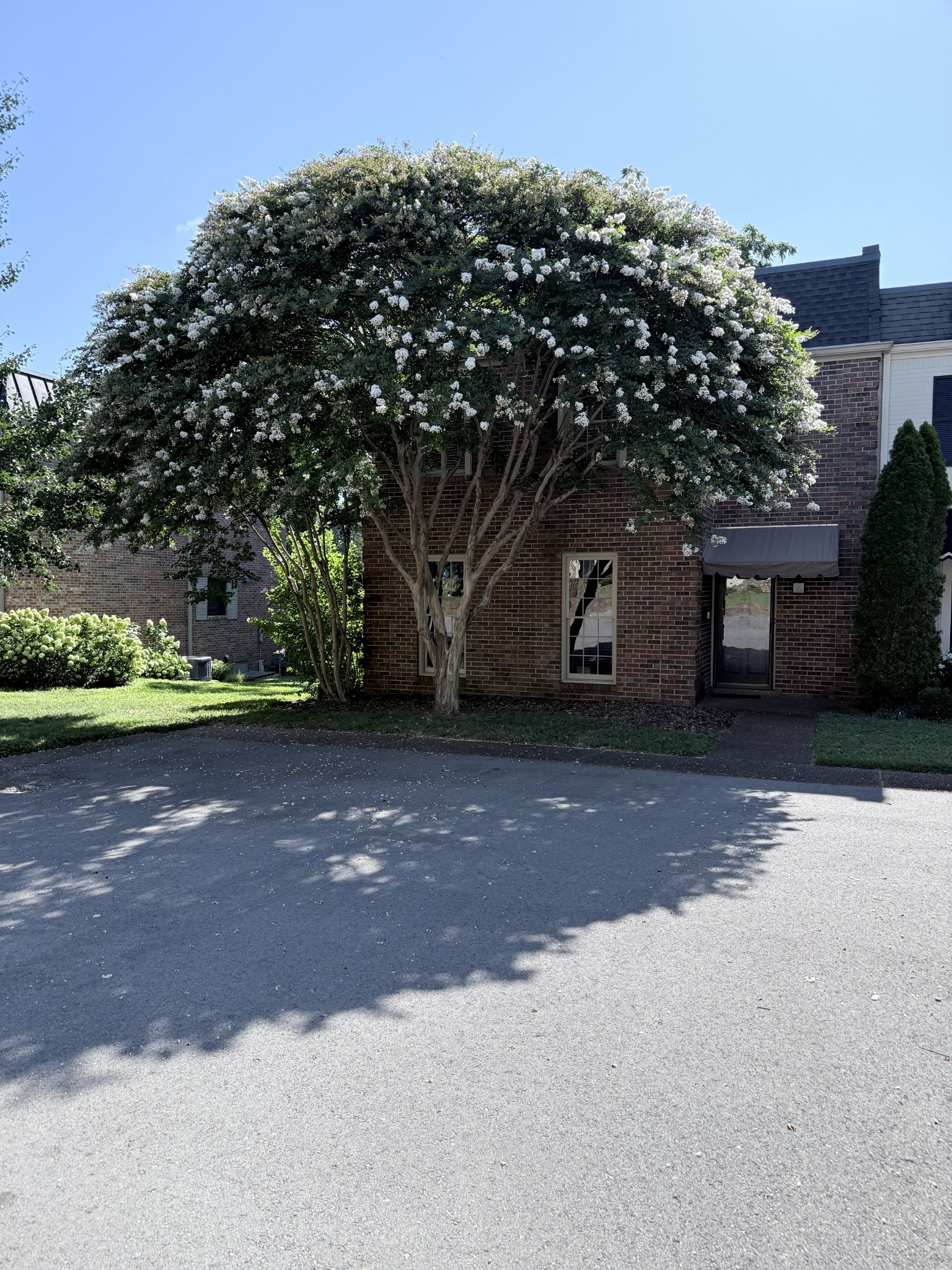 4400 Belmont Park Ter 174