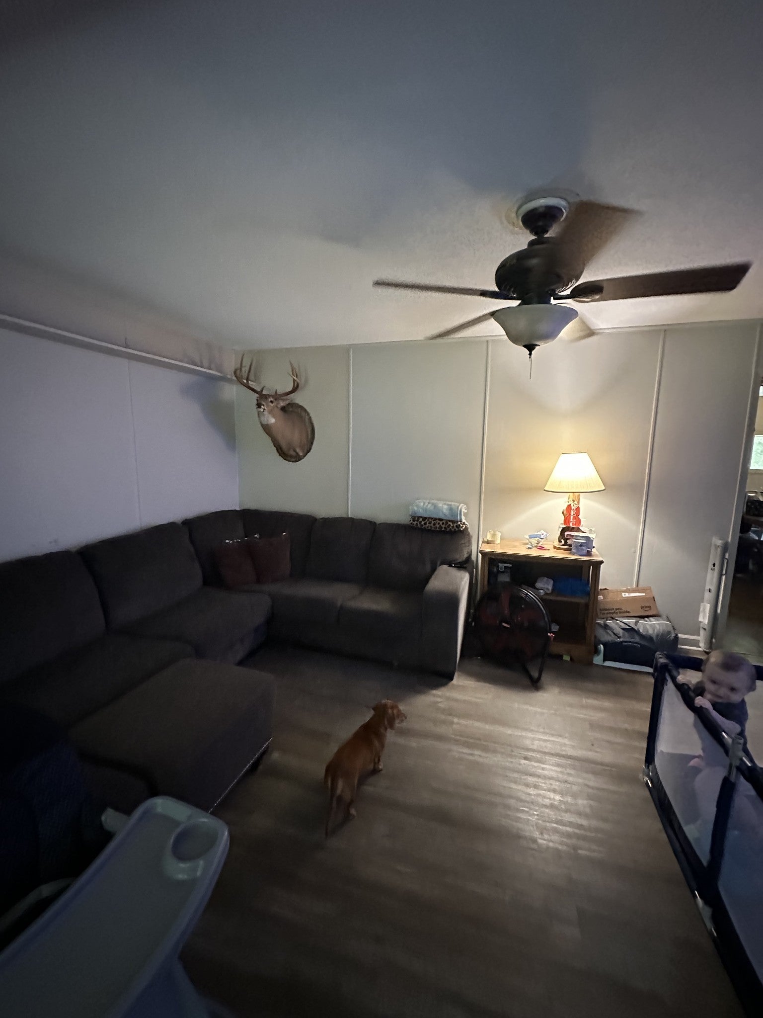 845 Allen Rd