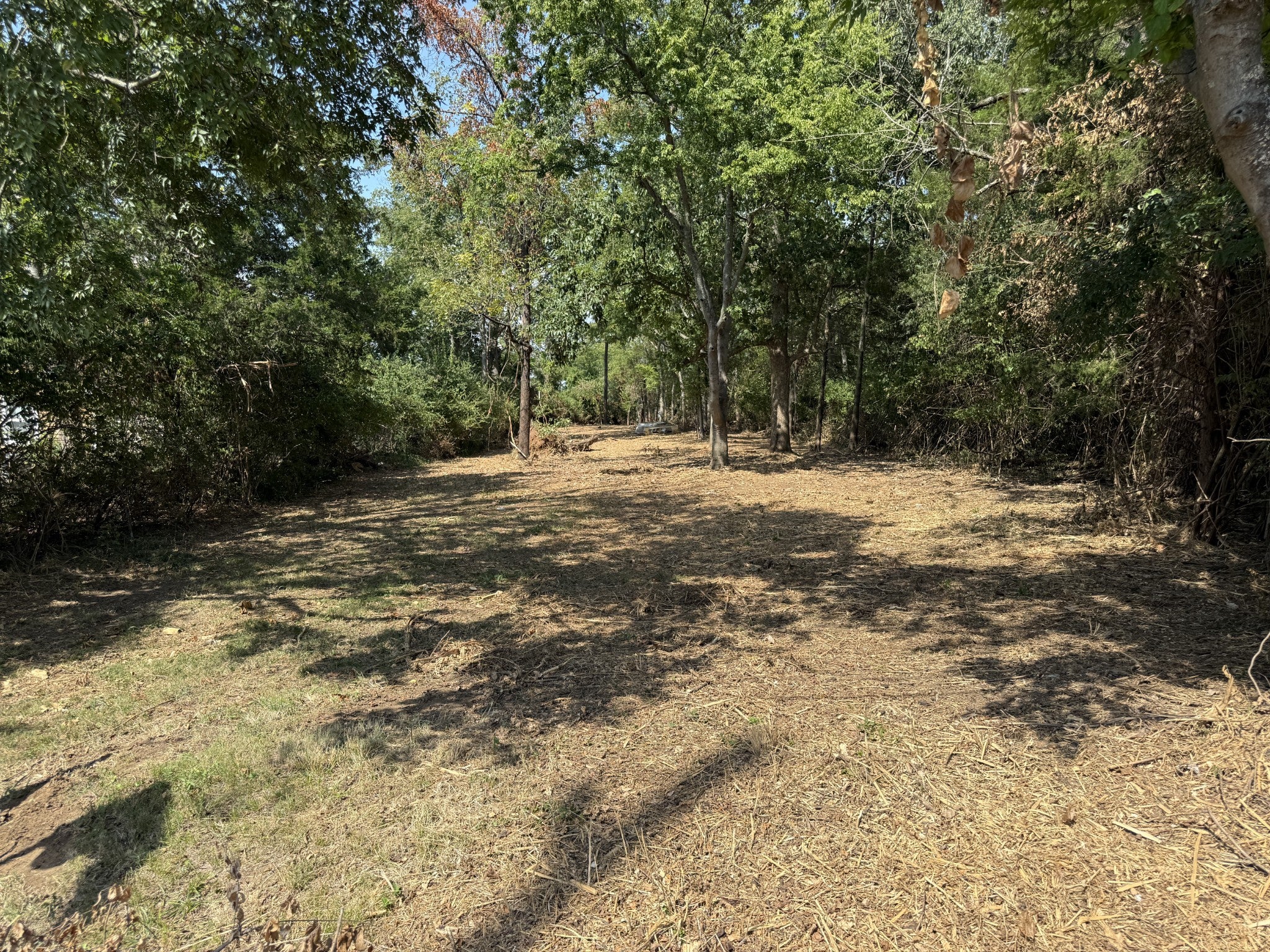 319 Sarver Ave
