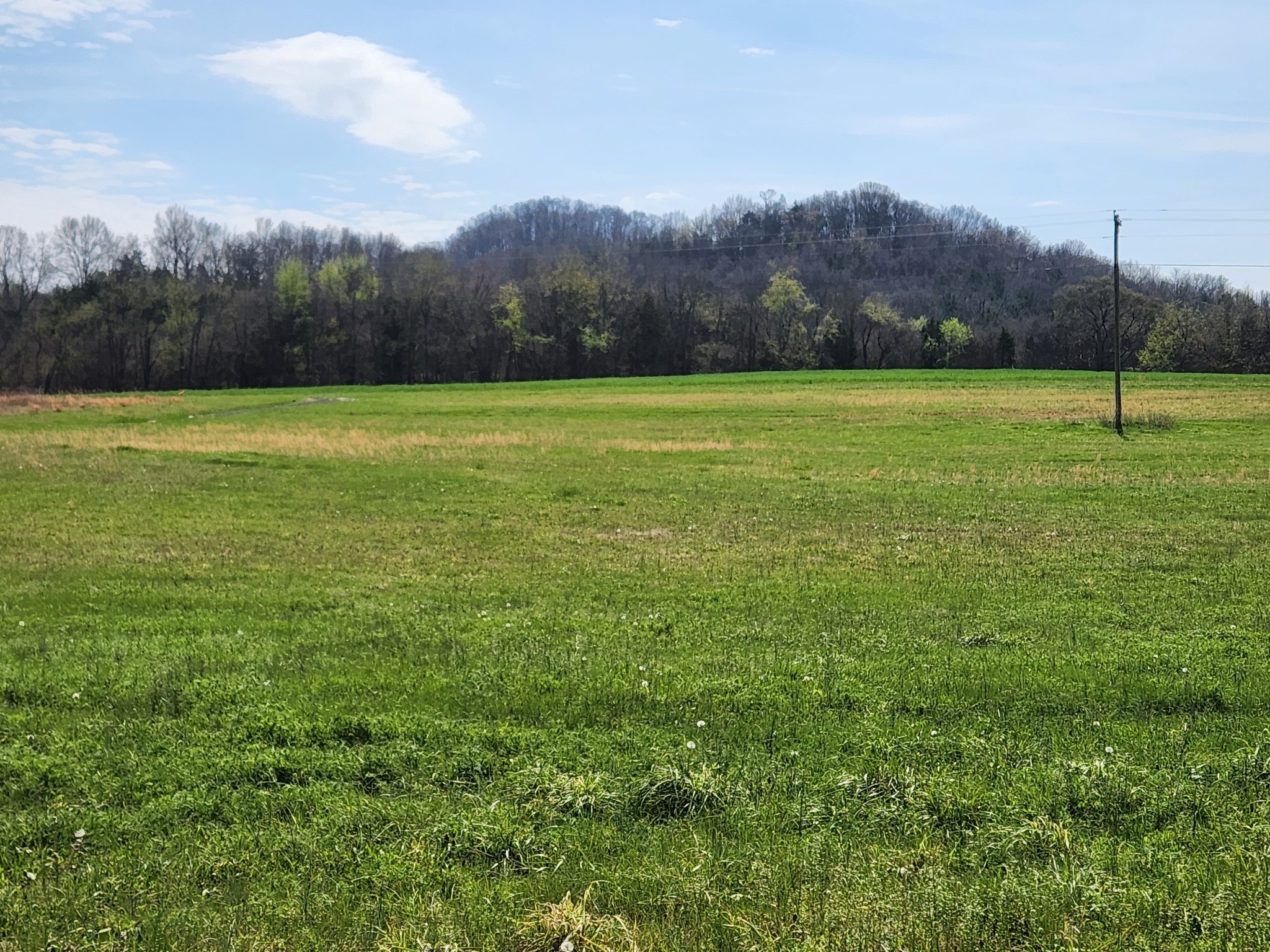 0 Browning Branch Road