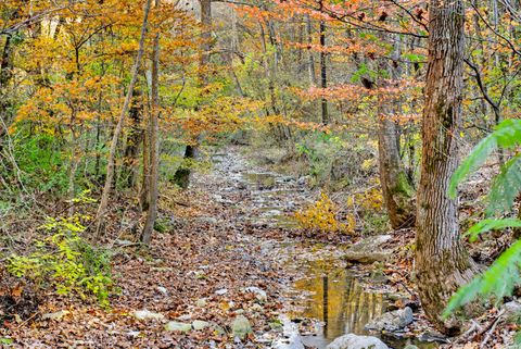 0 Rock House Hollow Road Westmoreland TN 37186