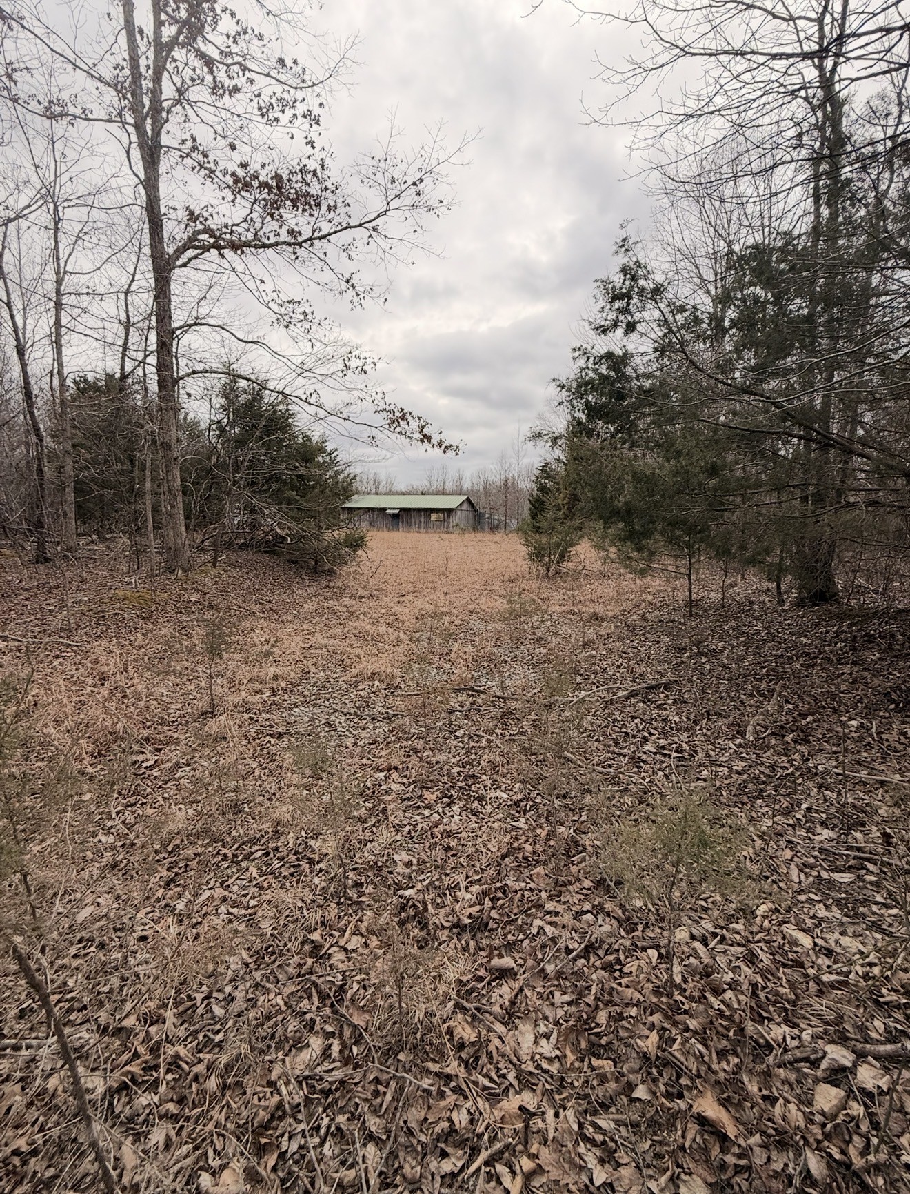 1975 Dogwood rd