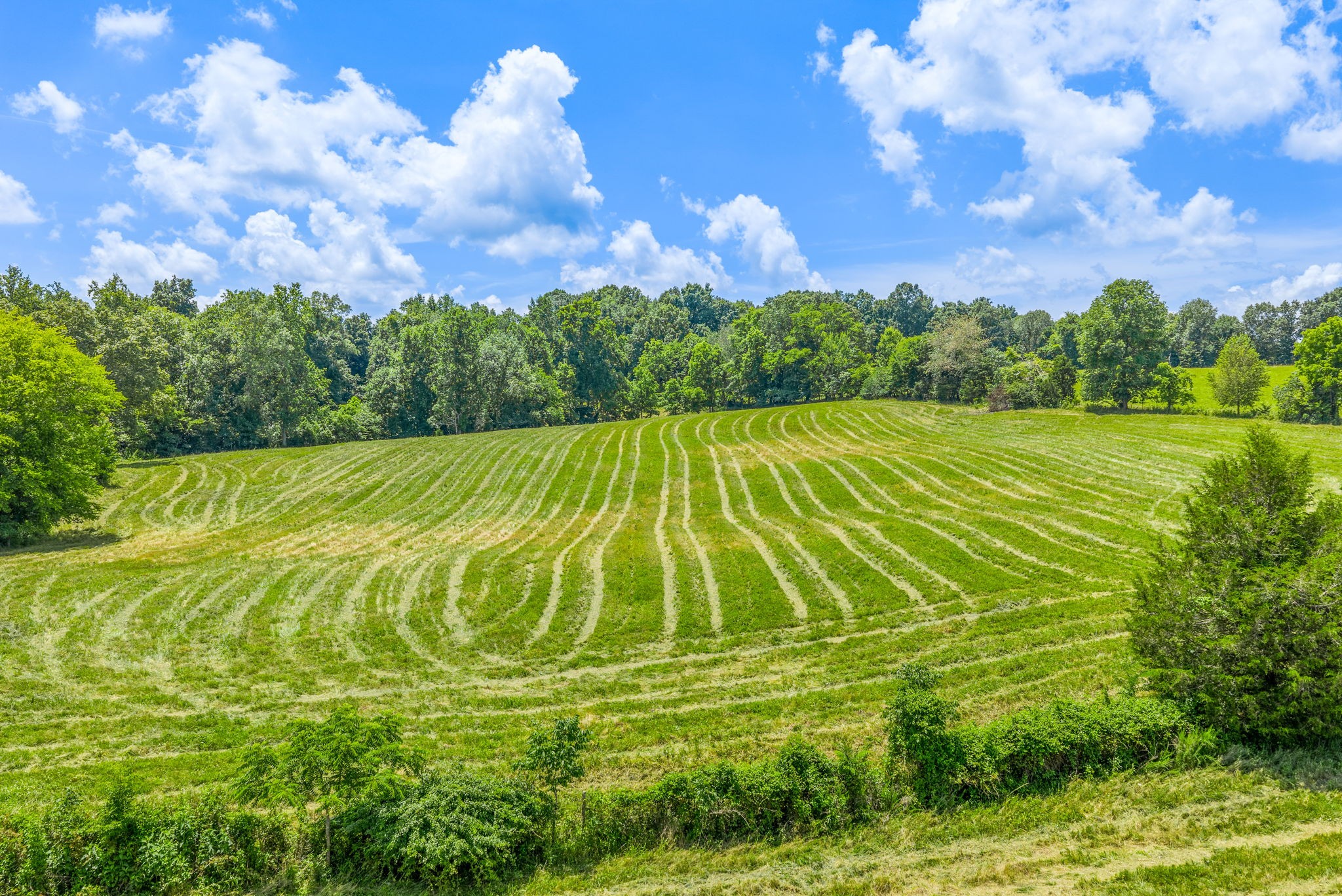 5367 Bryant Hollow Rd
