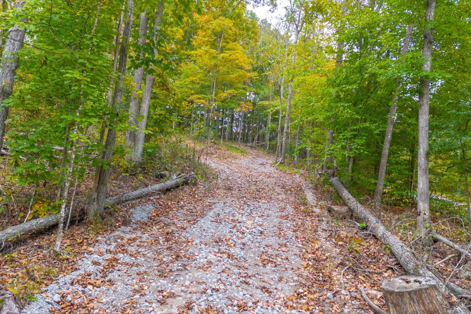 0 Ross Hollow Rd
