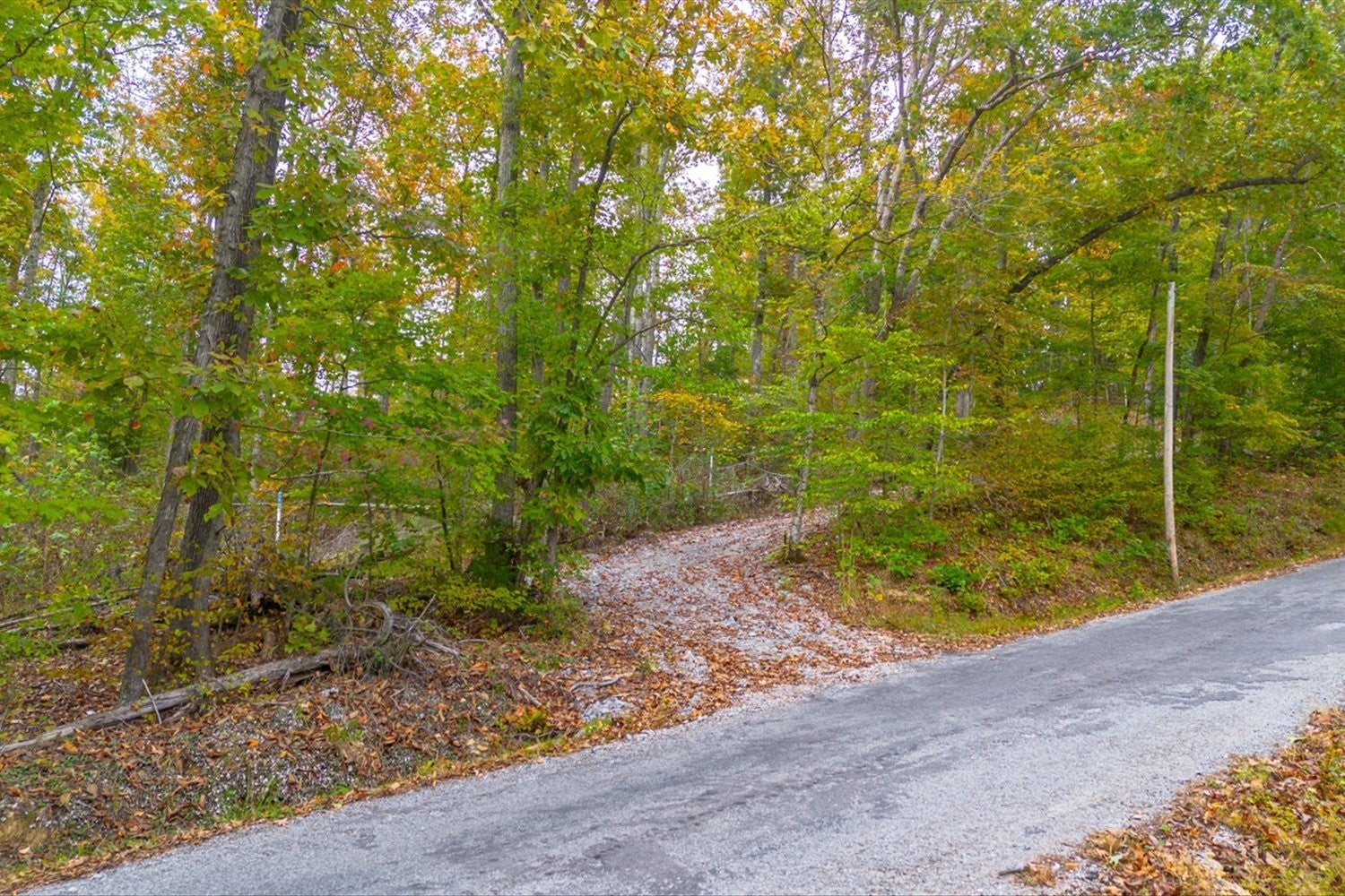 0 Ross Hollow Rd