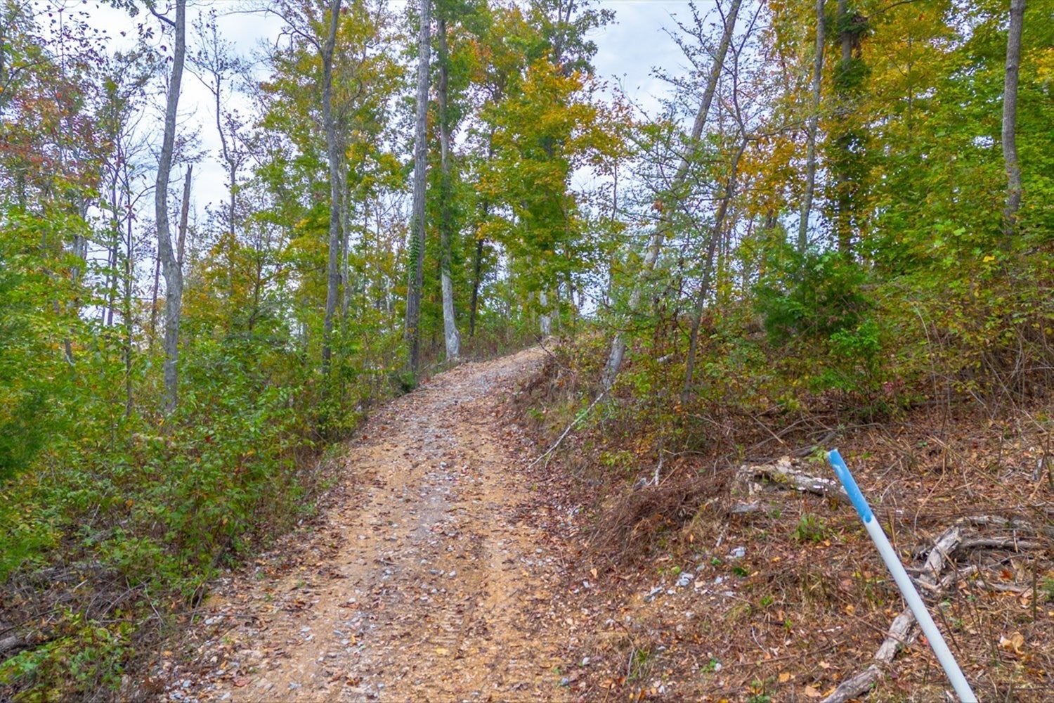0 Ross Hollow Rd