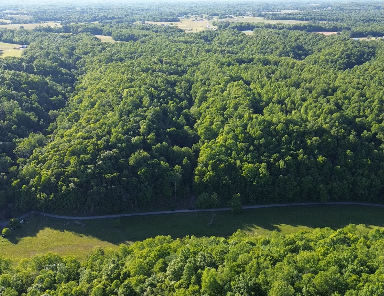 0 Westfork Creek Rd