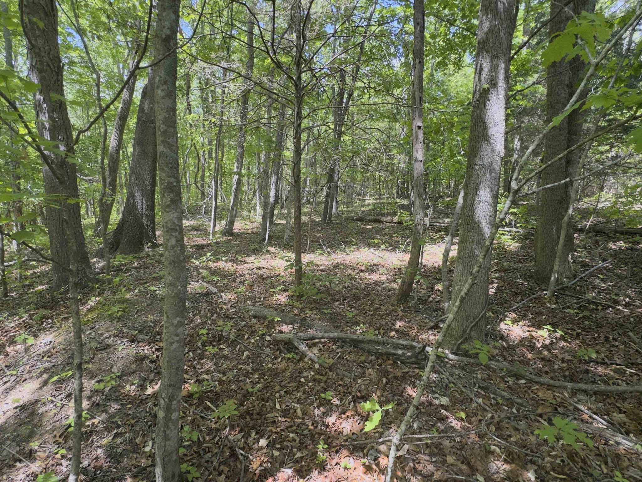 0 Westfork Creek Rd