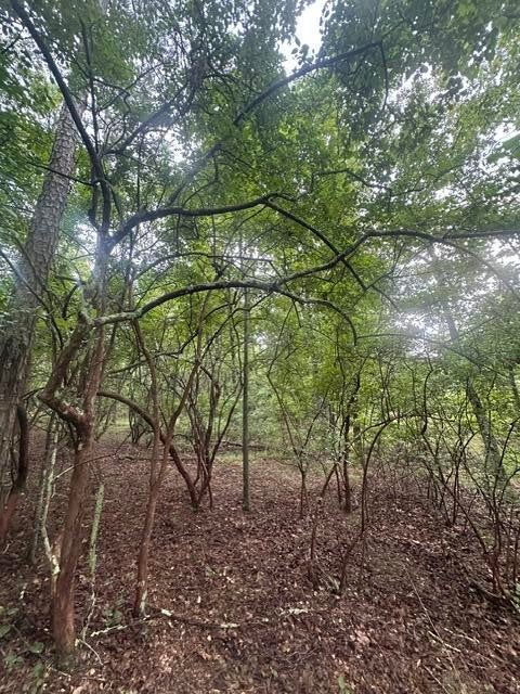 108 Chesadu Circle