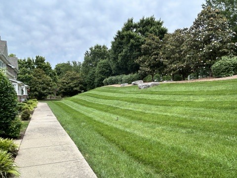 312 Mapleton Aly