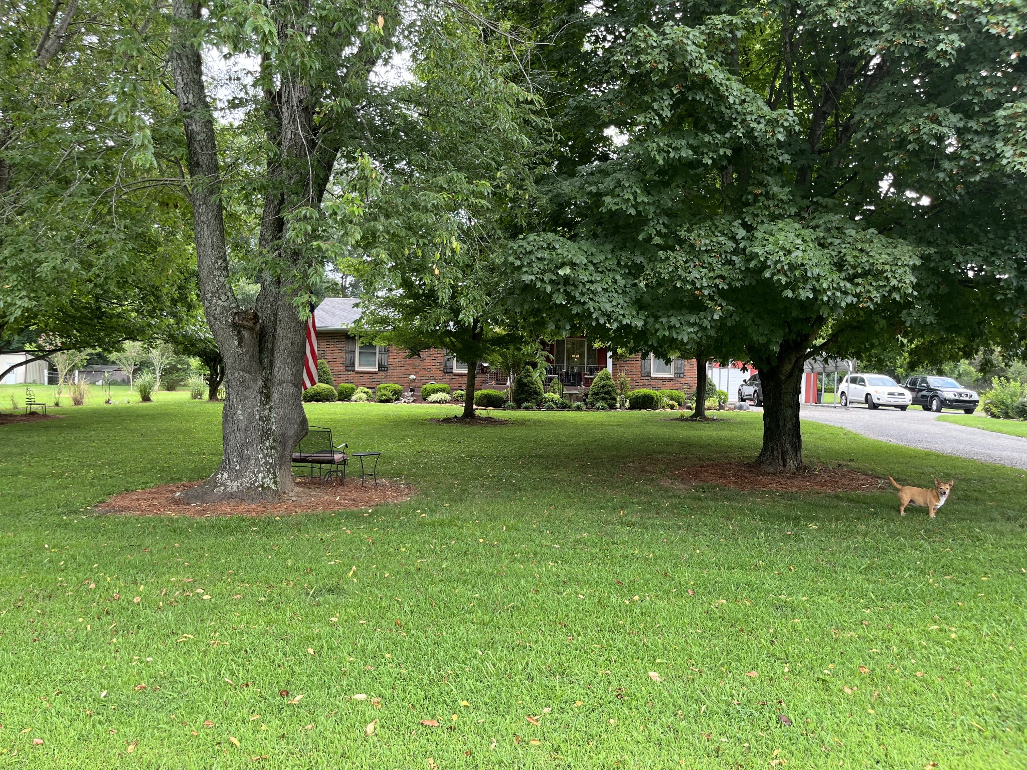 337 Raymond Hodges Rd