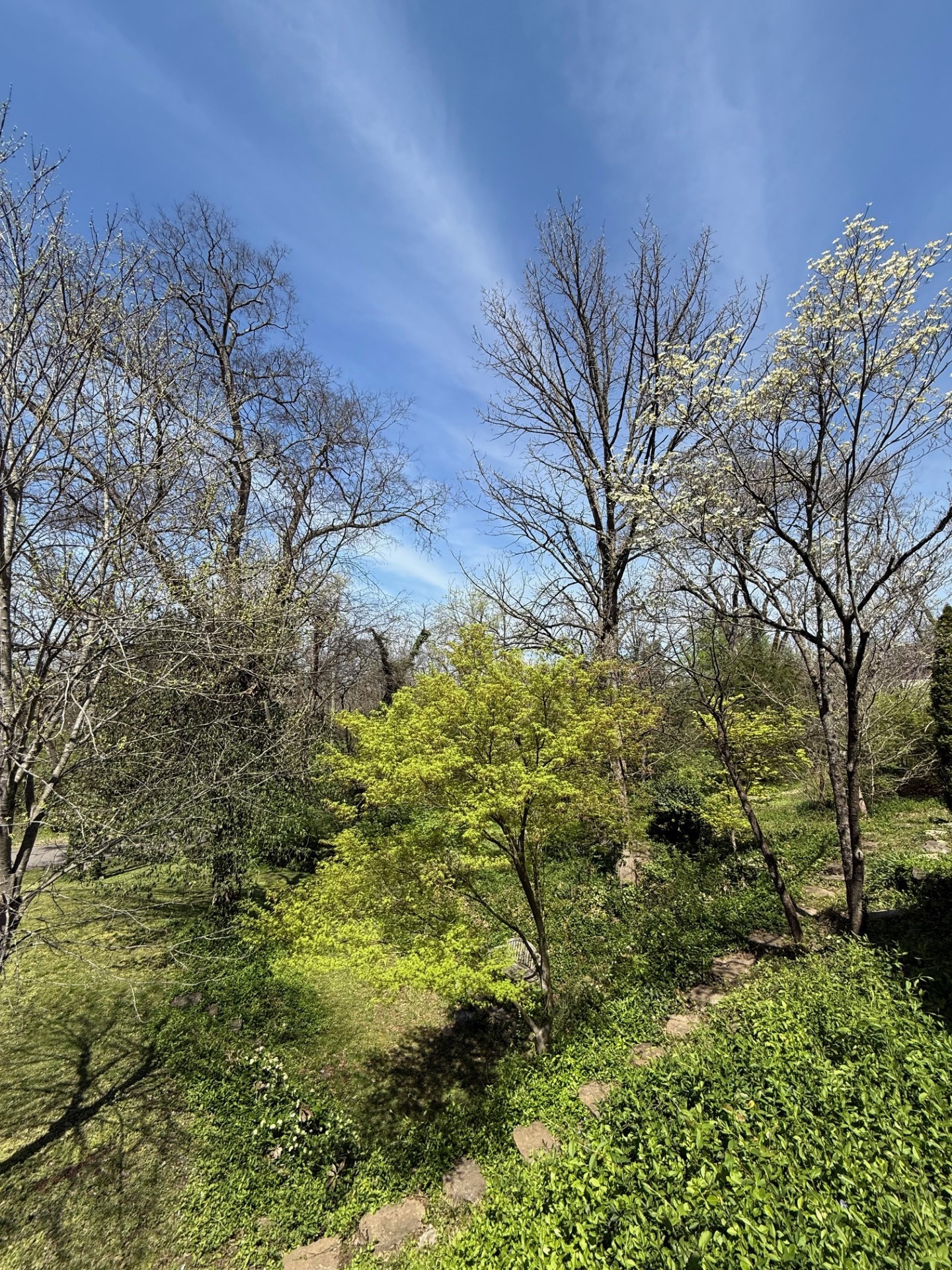 Nashville, Tennessee 37204, United States, 2 Bedrooms Bedrooms, ,1 BathroomBathrooms,Residential,Coming Soon,98501