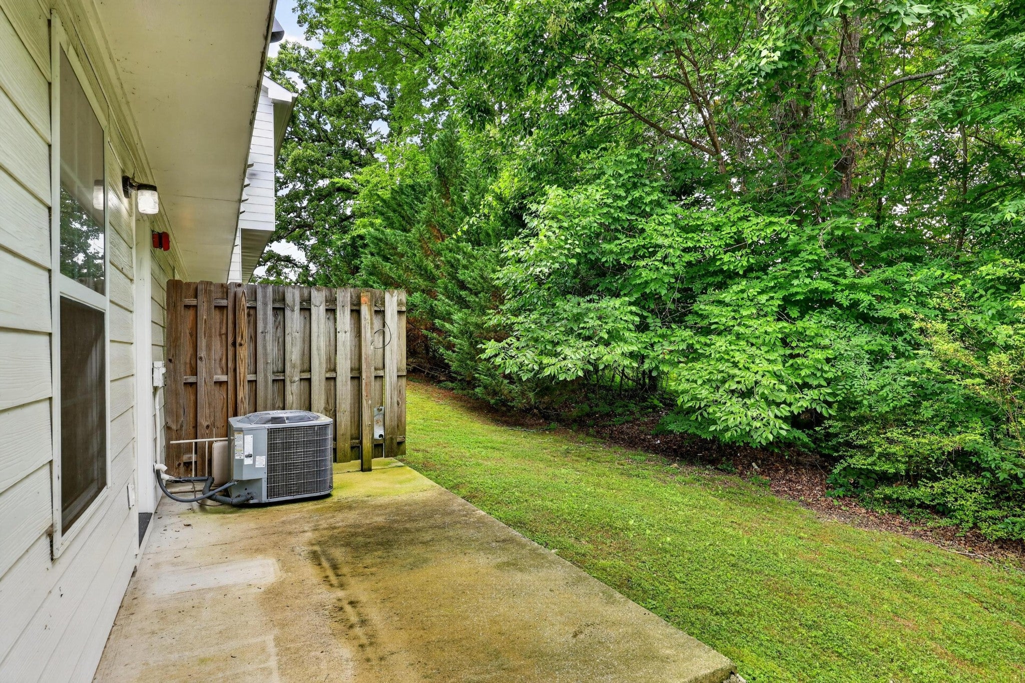 1109 Maple Tree Lane