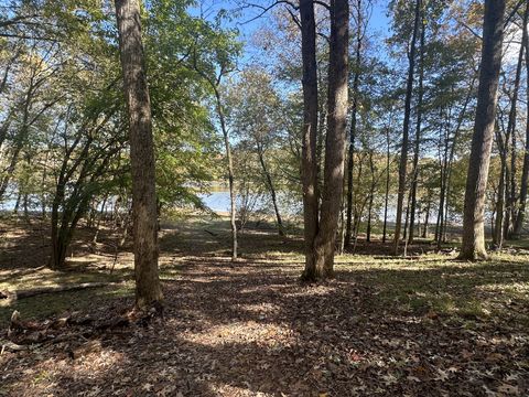 441 Mallard Dr Dover TN 37058