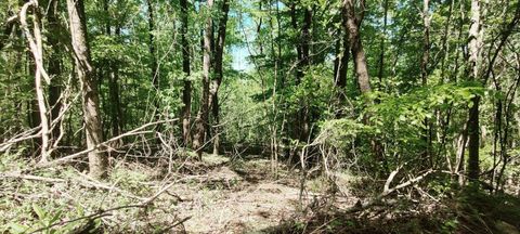 0 Coburntown (Lot 13) Road South Pittsburg TN 37380