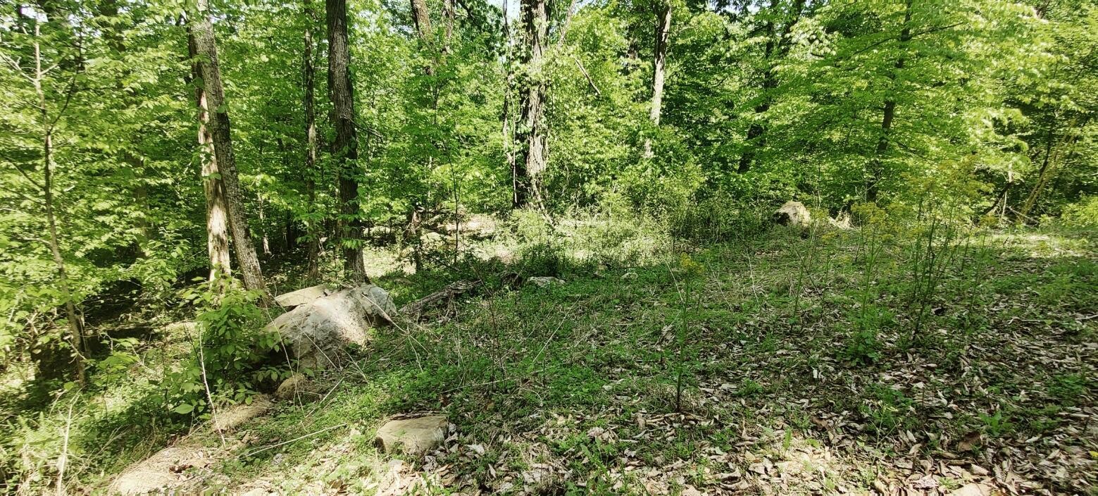 0 Coburntown (Lot 13) Road