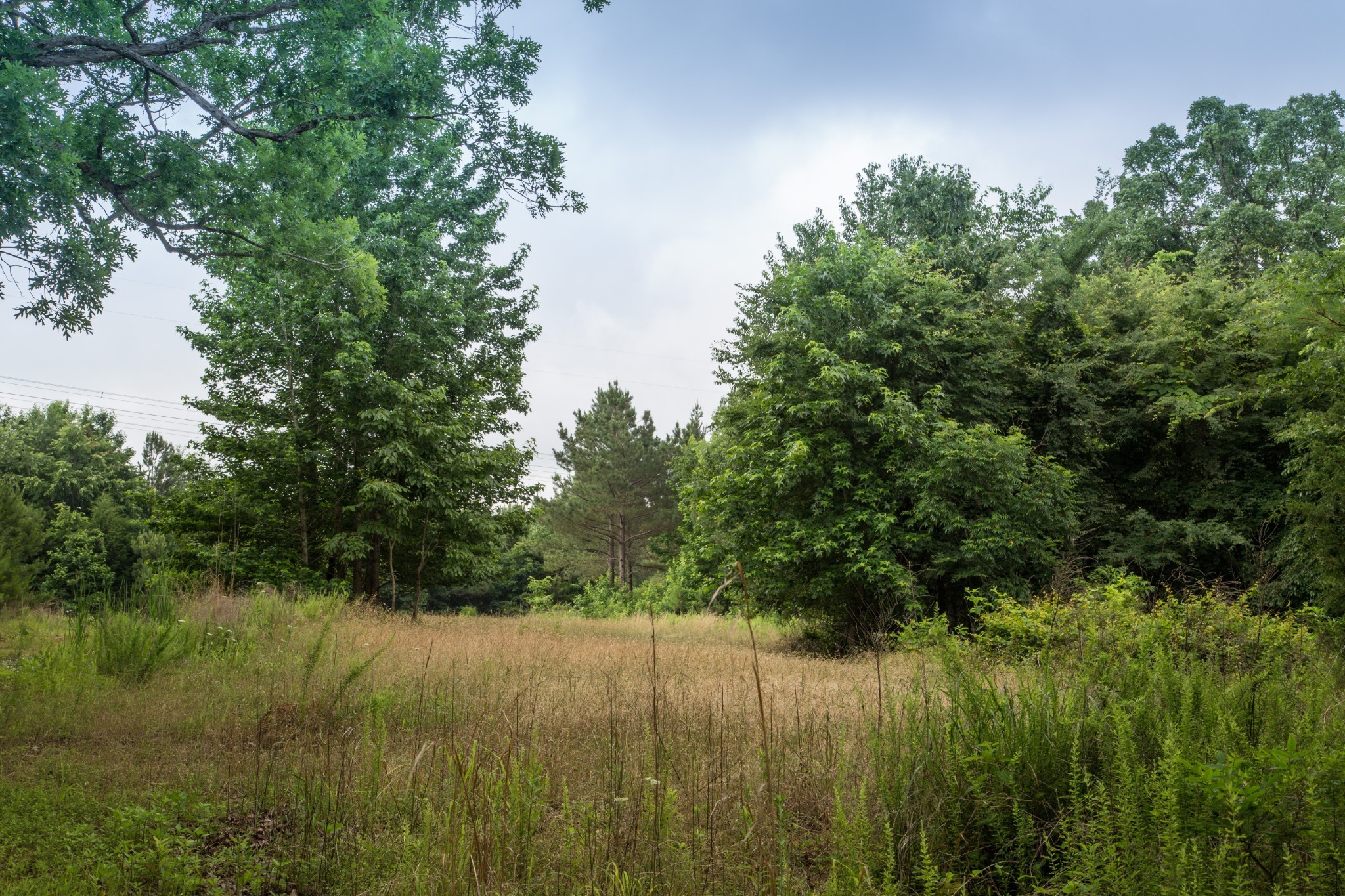 115 Baudy James Road