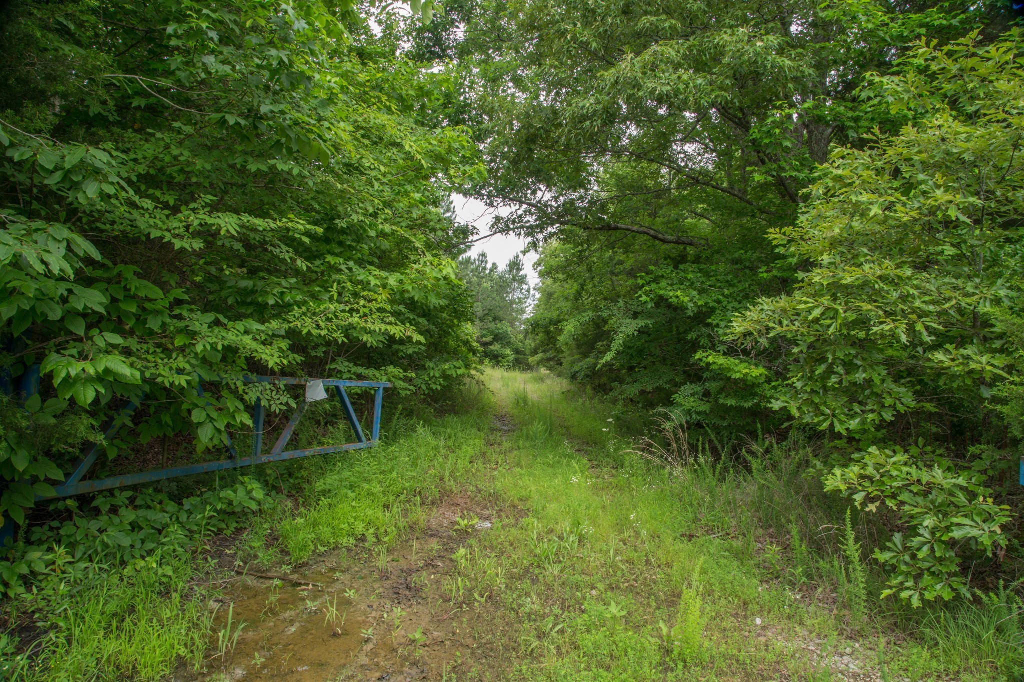 115 Baudy James Road