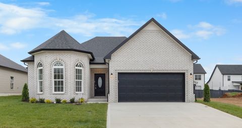 1232 Mourning Cloak Dr Clarksville TN 37043