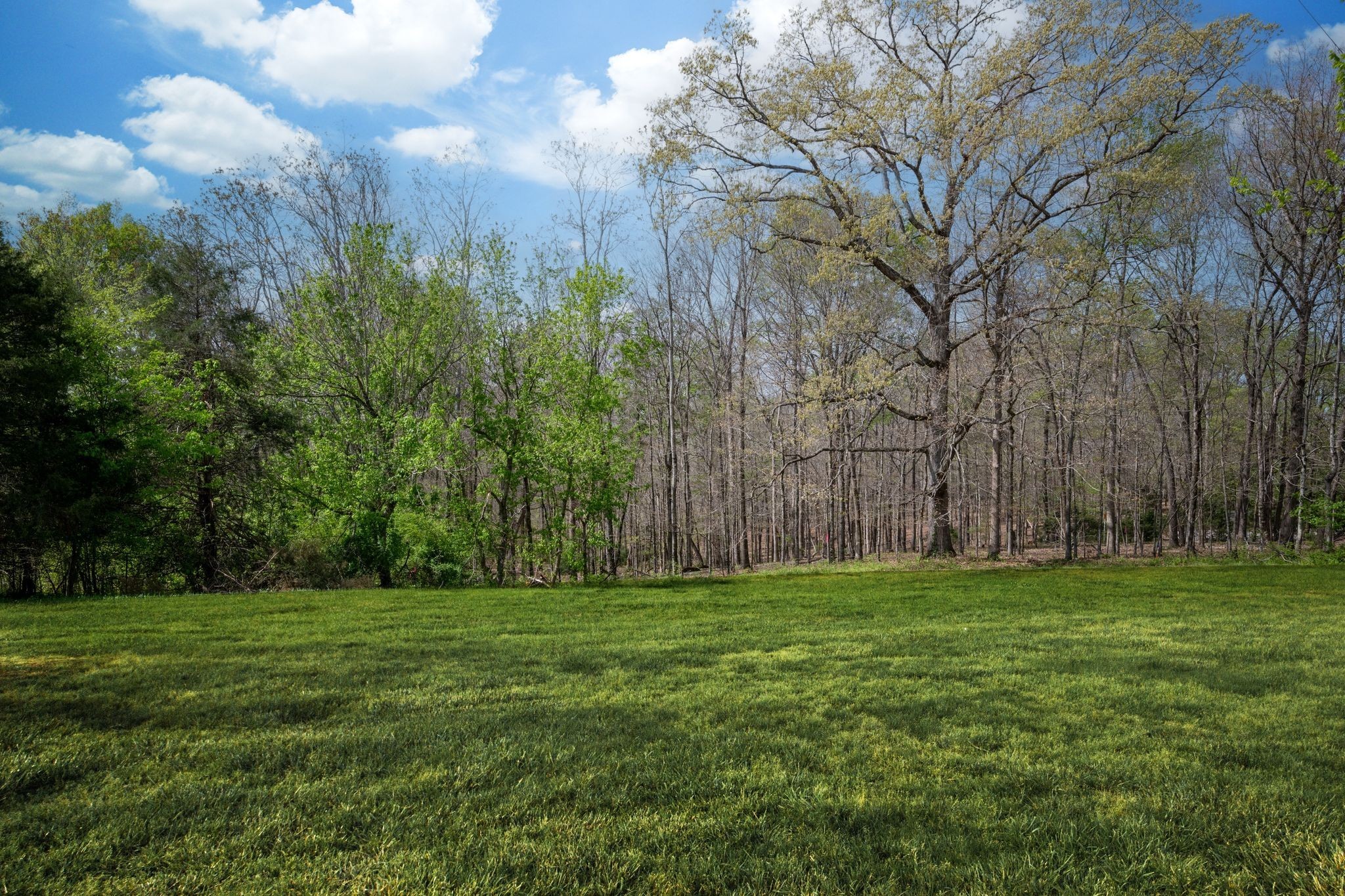 1424 East Piney Road