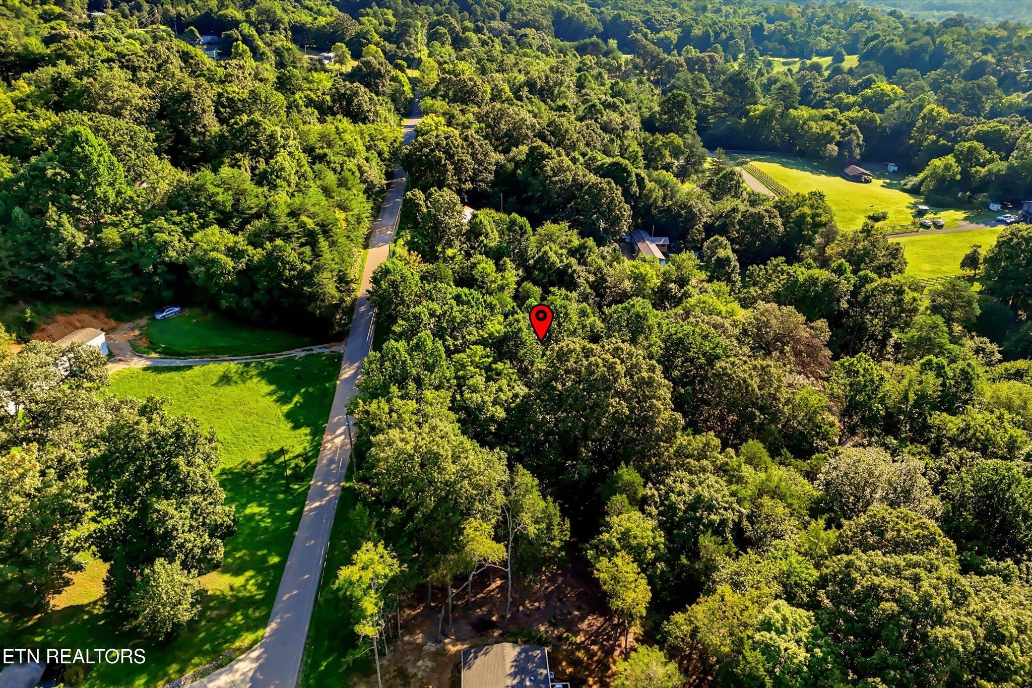 161 Pinecrest Drive