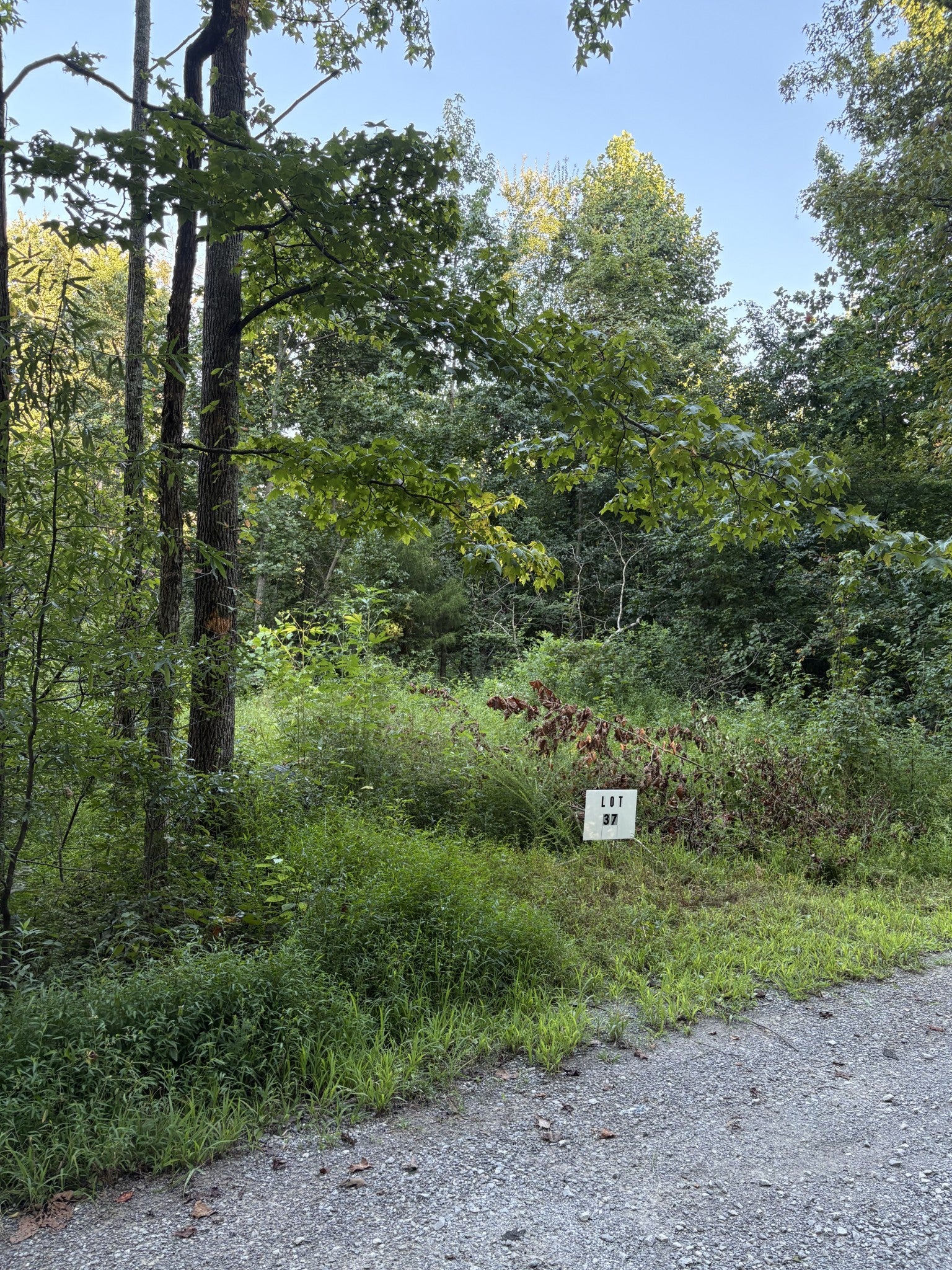 0 Shiloh Rd