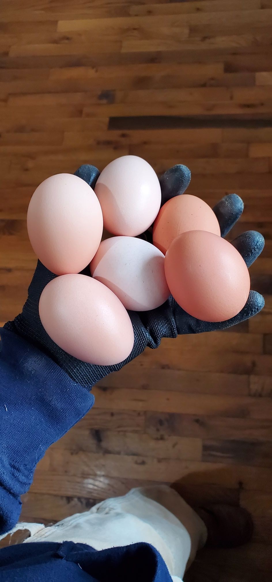 135 Campbellsville Pike