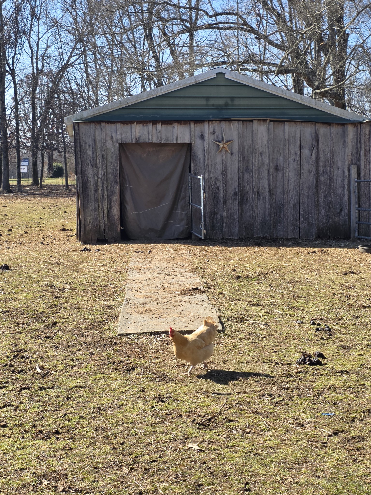 135 Campbellsville Pike