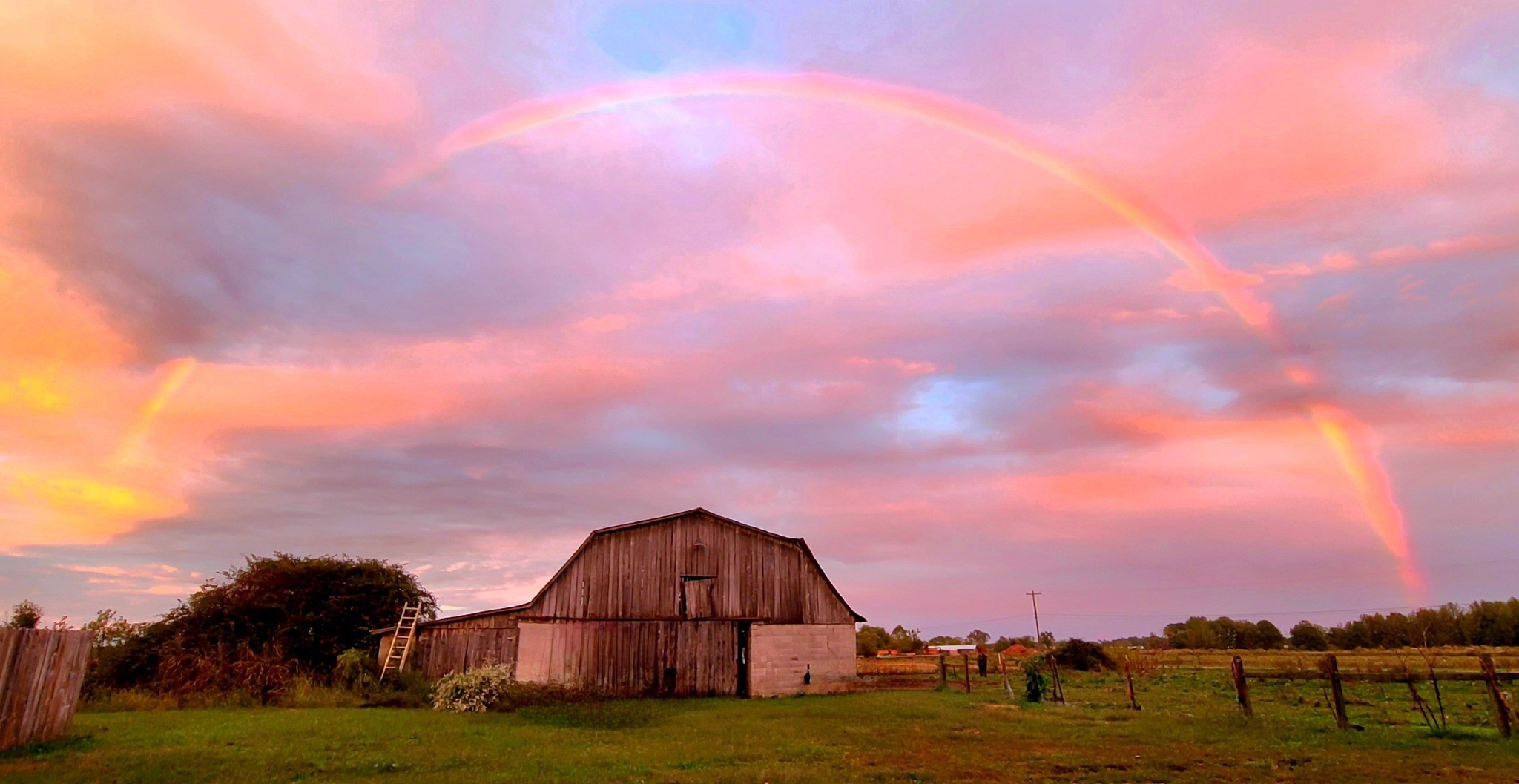 135 Campbellsville Pike