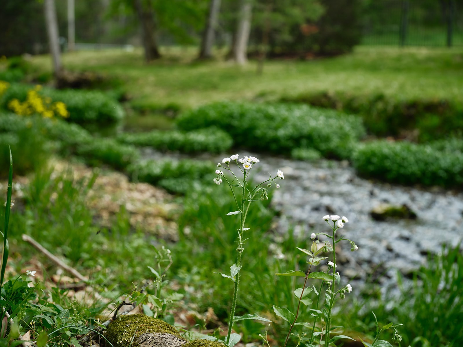 2925 Old Clarksville Pike