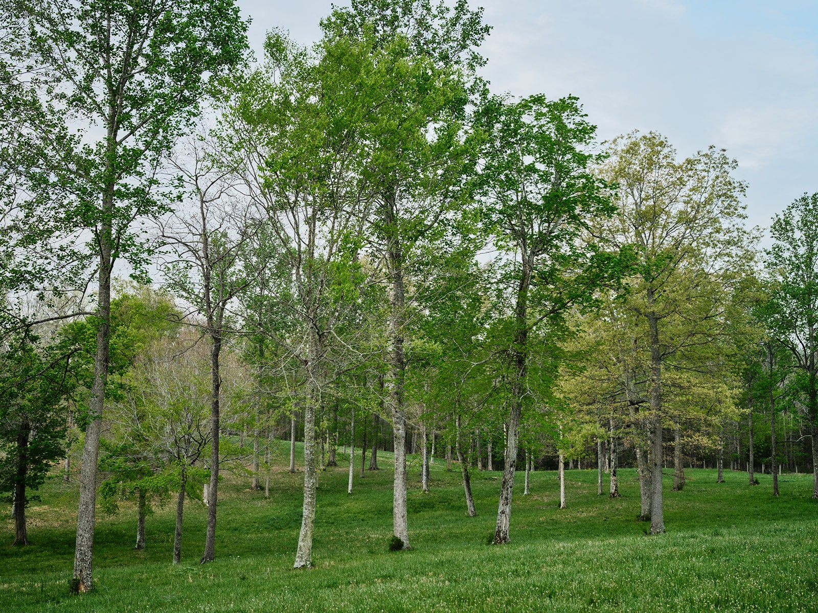 2925 Old Clarksville Pike