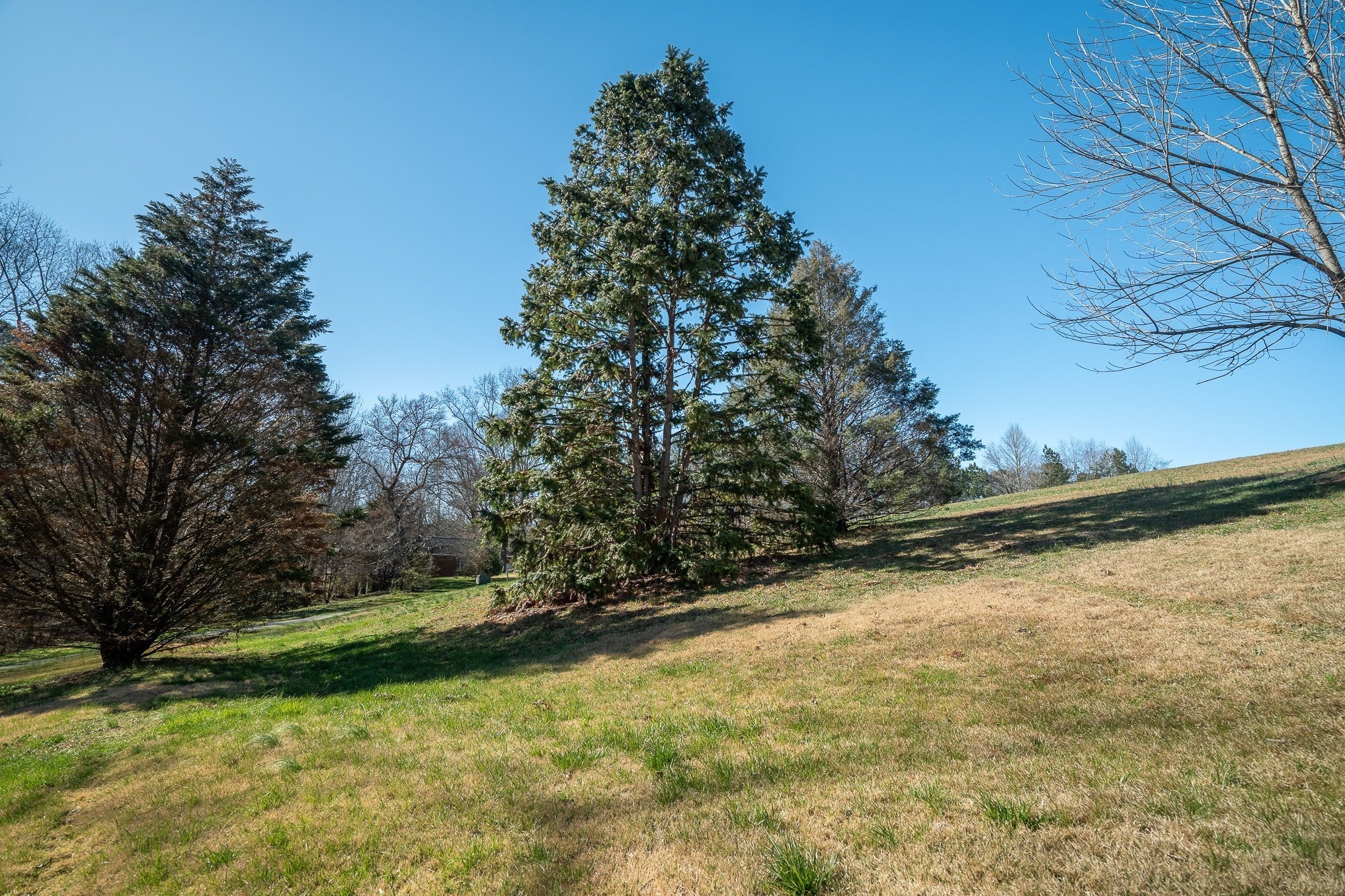 15 Clifton Rd