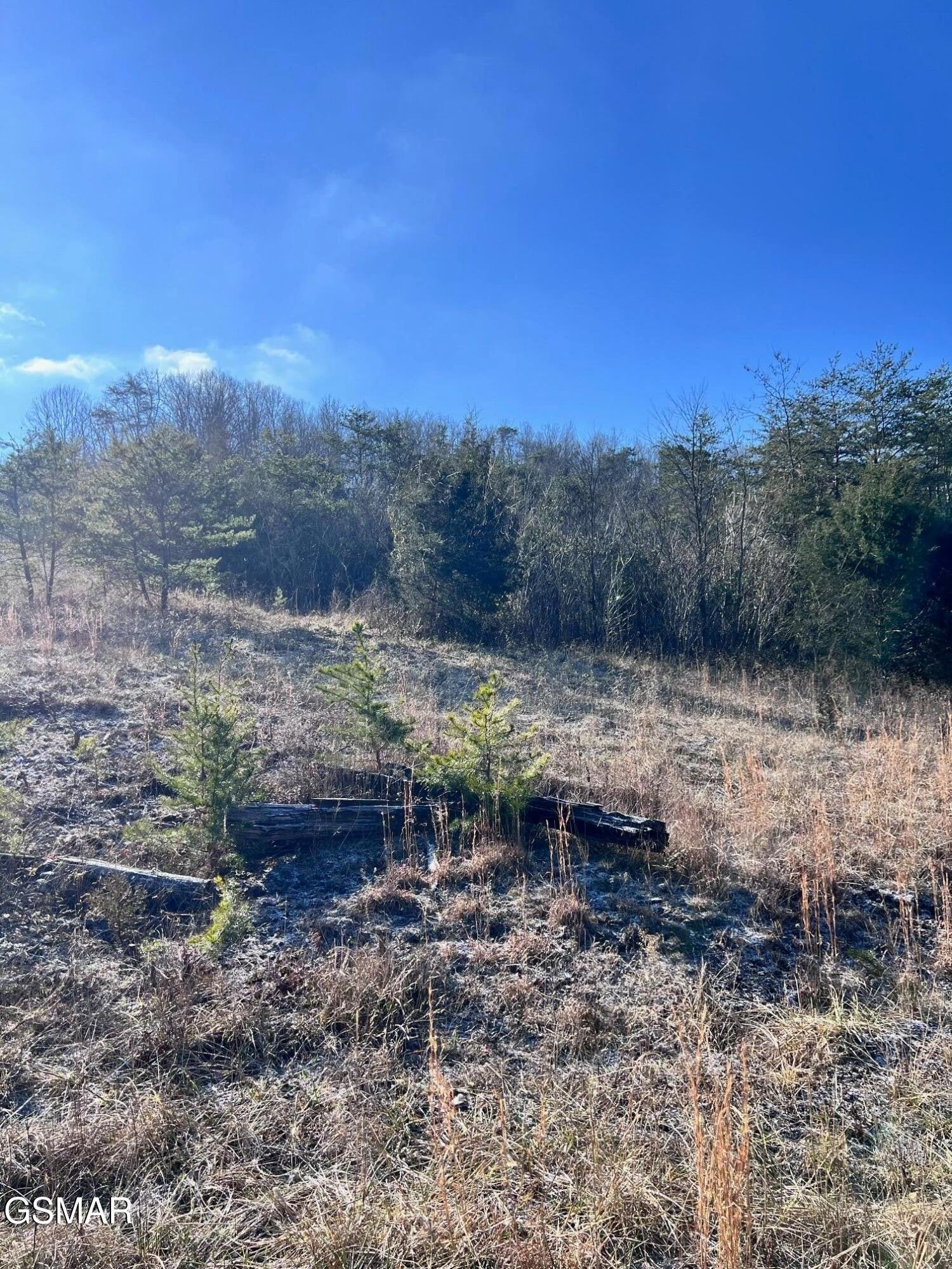 1581 Lower Caney Valley Road