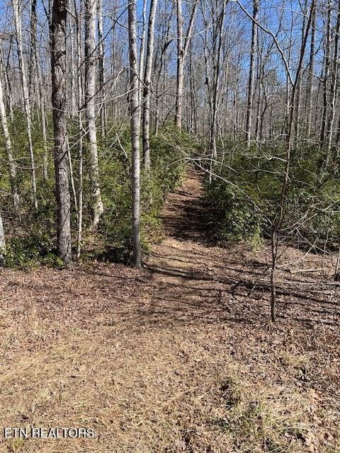 0 Cliff Park Rd