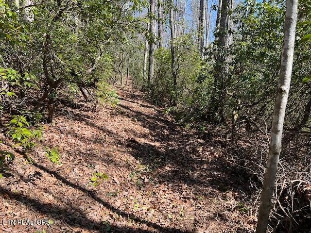 0 Cliff Park Rd