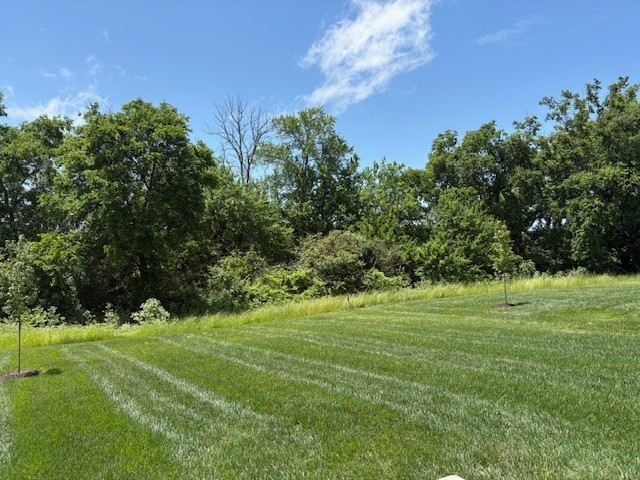 1247 Linn Cove Ct