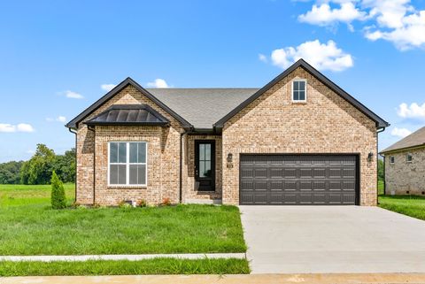 249 Harvest Moon Dr Clarksville TN 37043