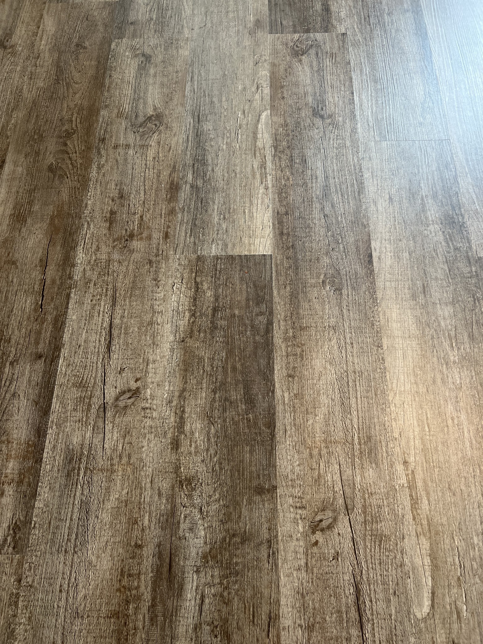 147 Timber Circle