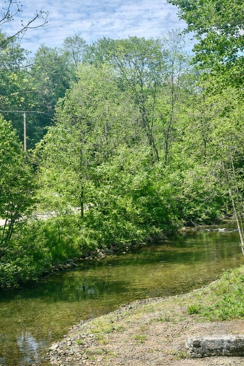 0 Little Bartons Creek Rd
